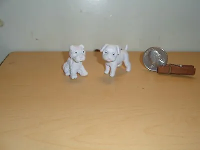 Dollhouse Miniature White Puppy Lot • $2.50