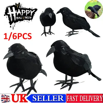 UK 1/6X Black Lifesize Raven Movie Prop Fake Crow Halloween Hunting Decor Bird • £5.69