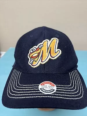 MONTGOMERY BISCUITS MINOR LEAGUE TWINS ENTERPRISE Flex L-XL Cap HAT • $24.99