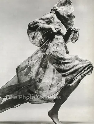 $178.23 • Buy 1970 Vintage RICHARD AVEDON Female Fashion Cardin Dress Duotone Photo Art 16x20