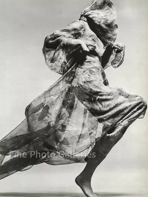 1970 Vintage RICHARD AVEDON Female Fashion Cardin Dress Duotone Photo Art 16x20 • $178.23