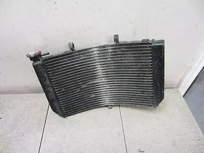 01-06 Honda Cbr600f4i Cbr600 Cbr F4i Oem Engine Radiator Motor Cooler Cooling • $89.93