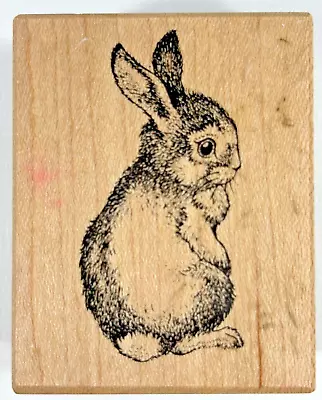 Vintage 1999 Easter PSX Baby Bunny Little Rabbit Rubber Stamp D-1739  (E1) • $5