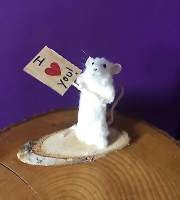 Taxidermy Love You Mouse Gift Boyfriend Girlfriend Oddities Curiosity Valentines • £35