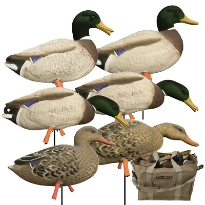 Higdon Full Body Mallard Variety Pack With Bag • $209.99