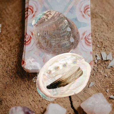  3 Pcs Shell Smudge Bowl For Smudging Natural Abalone Decorative Ornaments • £6.79