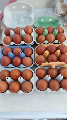 20 Marans Hatching Eggs Top Size Good Colour Good Layers • £40