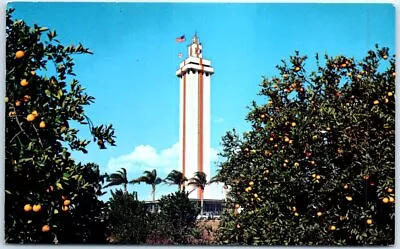 Postcard - Citrus Observation Tower Clermont Florida USA • $11.99