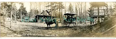 Barnard Vermont VT - 11  PANO HORSE DRAWN CARRIAGE SILVER LAKE - RPPC Postcard • $30