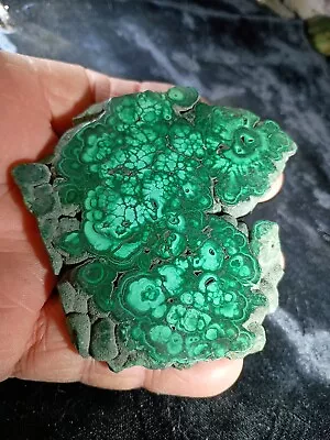 Malachite Polished Slab Specimen Zaire 161 Grams • $43