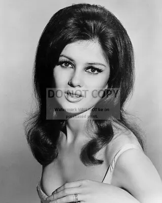 $7.98 • Buy Pamela Tiffin In  The Lively Set  - 8x10 Publicity Photo (rt741)