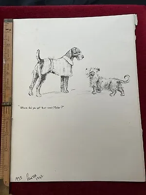 Vintage Dog Prints Double Sided Published 1933 Printed 1942 For FramingJournals • £4.50