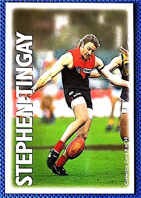 1996 Optus Vision Pro Squad Stephen Tingay Melbourne Demons Card • $6