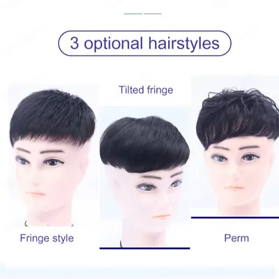 Men's Full Real Hair Wig Piece Middleaged Hair Replacement Male Short Hair • $22.54