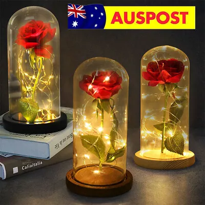 $8.23 • Buy Rose In Glass Dome Eternal Flower LED Enchant Valentine's Day Wedding Decor Gift