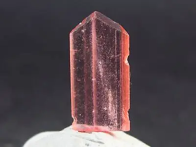 Rare Gem Vayrynenite Crystal From Afghanistan - 1.2cm - 1.00 Carats • $349.99