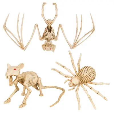 Halloween Animal Skeleton Prop Party Decoration Rat Spider Bat Tarantula Zombie • £3.99