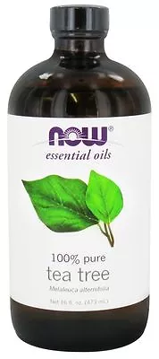 Now Foods Tea Tree Essential Oil 16 Oz For Diffusers & Burners! • $52.95