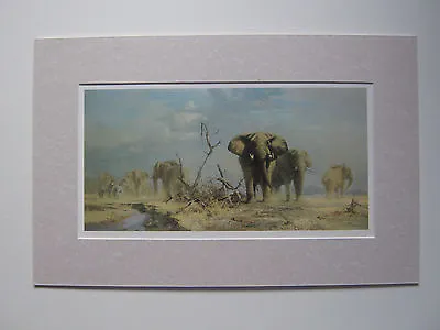David Shepherd Print 'The Welcome Storm' Elephants UNFRAMED • £22