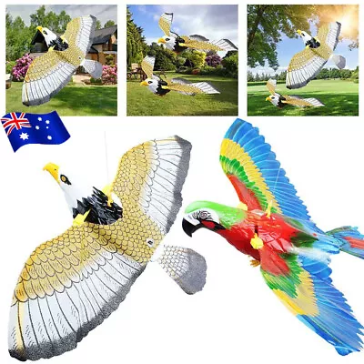 Simulation Bird Toy Interactive Cat Toys Electric Hanging Eagle Flying Bird Toys • $10.56