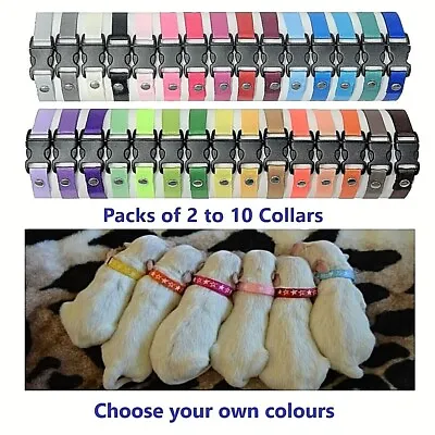 Whelping Puppy ID Collars Adjustable Coloured Welp Bands Colour Size Choice • £16.99