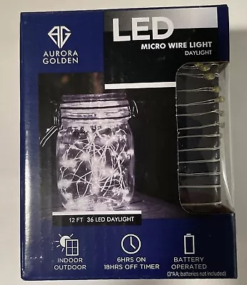 Aurora Golden Blue Micro 36 LED Wire Light Battery Powered Rope Light 12 Feet • $2