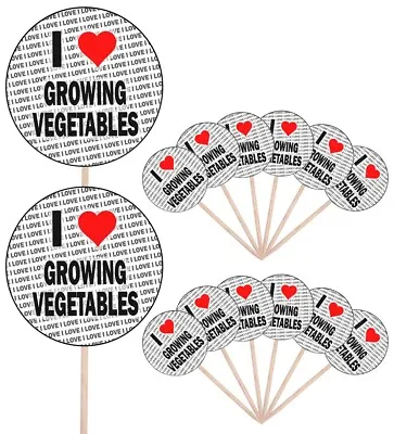 £5.99 • Buy I Love Growing Vegetables Party Food Cup Cake Picks Flags Decorations Toppers