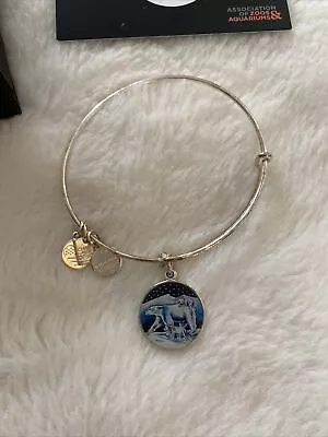 Alex And Ani Bracelet Polar Bears Silver Endurance Protect Charm Bangle Card Box • $10