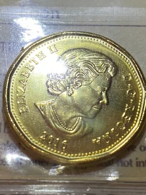 2016 $1 Canada Silver Dollar Coin Queen Elizabeth II ICCS MS66 • $9.25