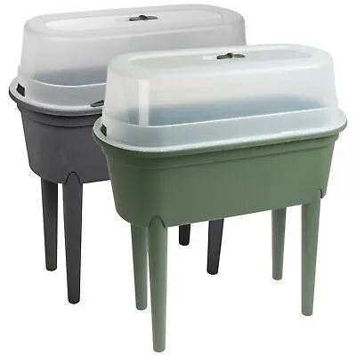 Elevated Greenhouse Plastic Raised Garden Bed Planter Pot Box Plant Kit With Lid • £29.99