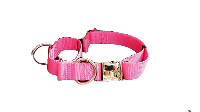 1.5 Martingale Dog Collar USA  Tough METAL BUCKLES Carter Pet Supply • $15.95