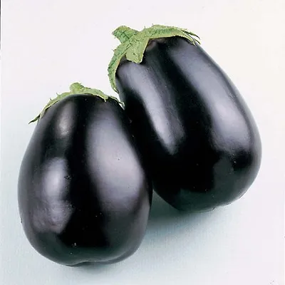 Aubergine  Egg Plant  Black Beauty 800 Seeds • £2.19