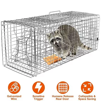 Large Humane Live Animal Trap Control Steel Cage 31 X11 X12  Raccoon Skunk Cat • $46.88