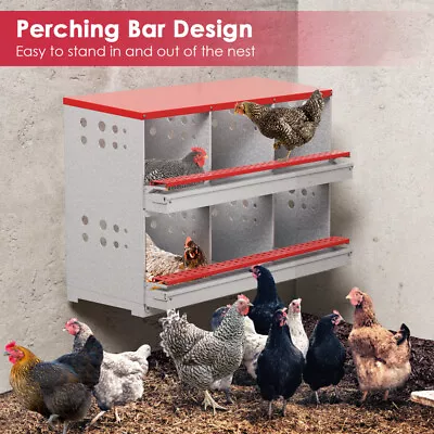 New 6Hole Chicken Nesting Boxes Metal Egg Laying Brooding Box With Vent Hole Set • $133.98