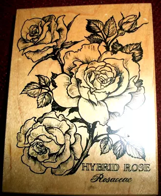 HYBRID ROSE Rubber Stamp By PSX K-1636 • $12.99