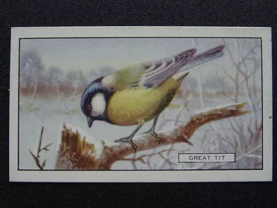 British Birds GREAT TIT No.11 By Gallaher Ltd 1937 • £2.75