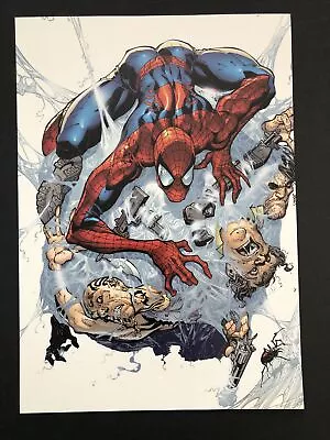 Amazing Spider-Man #30 COVER-Marvel Comic Book Poster 8 X11  J Scott Campbell • $15.15