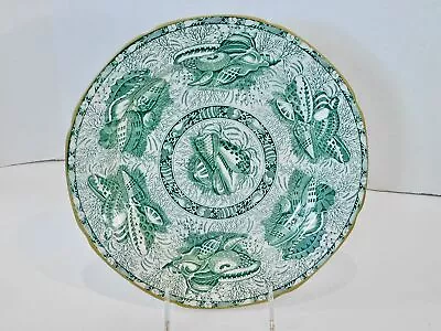 Mottahedeh Torquay Green Seashells Transfer Printed Earthenware Dinner Plate • $19.99