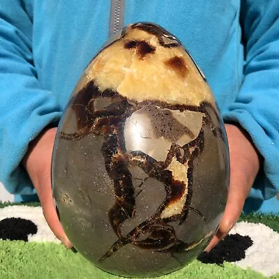 11.7LB Natural Septarian Dragon Quartz Crystal Egg Mineral Specimen Healing • $0.99