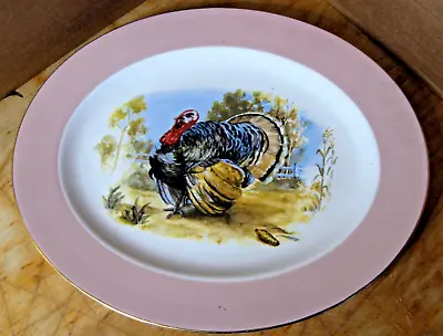 Vintage Homer Laughlin Pink Band Turkey Platter • $19.95