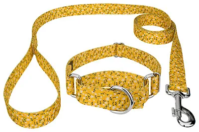 Country Brook Petz® Spring Cottagecore Martingale Dog Collar And Leash • $18.97