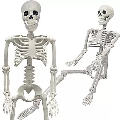 36  Skeleton Halloween Decorations 3FT Realistic Full Body Movable For Decor • $39.27