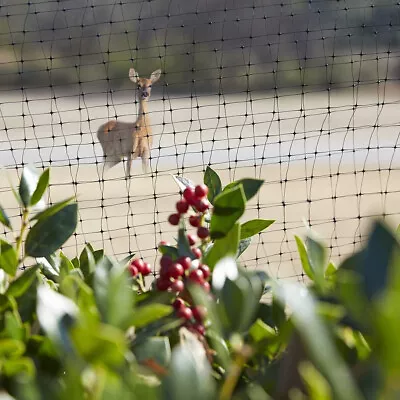 Heavy Duty Fruit Veg Cage Netting Anti Bird Garden Pond Net Protection 15/20/25M • £6.95