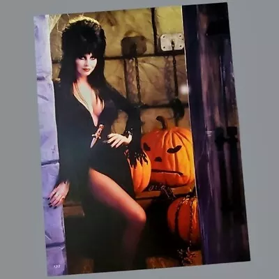 Elvira Mistress Of The Dark Poster Pumpkin Photograph Halloween Costume • $19