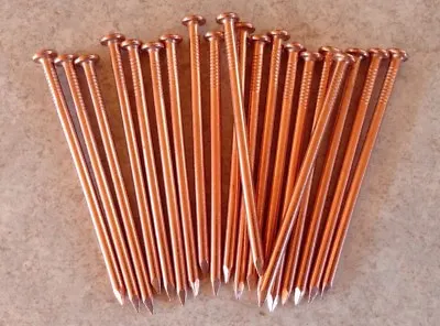 3.5 Inch Copper Nails For Killing Trees Stumps & Roots - 20 Count • $19.50