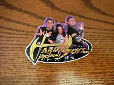 $2.29 • Buy 2002 Wwf HARDY BOYZ Vending Machine Prism Sticker W/ Lita Die Cut 2002
