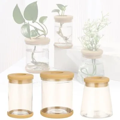 $7.34 • Buy Green Plant Flower Containers Indoor Orchid Pots With Drainage Hole Flower Pot