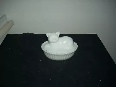 Vintage Westmoreland White Milkglass Cat On Basket Lidded Candy Dish Trinket • $19.99