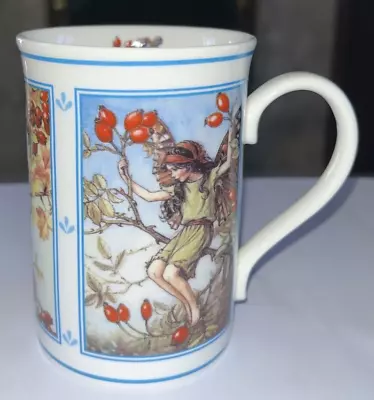 Flower Fairies Danbury Mint Mug Vintage 1997 BLACKBERRY HAWTHORN ROSE HIP • £7.99