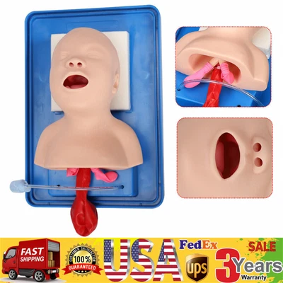 $91 • Buy PVC Lab Airway Intubation Manikin Study Infant Model Management Trainer Aid USA